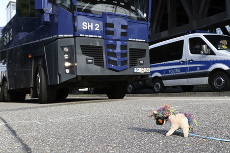 '#BlockG20 – colour the red zone!' Demonstration in Hamburg
