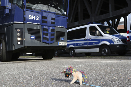 '#BlockG20 – colour the red zone!' Demonstration in Hamburg