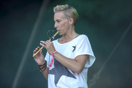 Rockharz Open Air 2017 in Ballenstedt