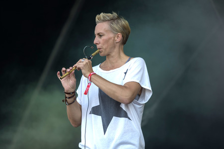 Rockharz Open Air 2017 in Ballenstedt