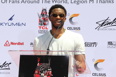 Hand and Footprint Ceremony mit Stan Lee in Los Angeles