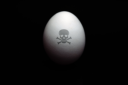 Symbolfoto Eier-Skandal