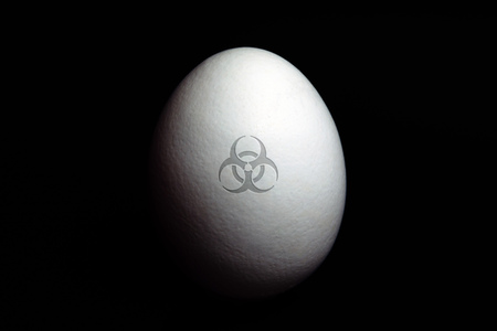 Symbolfoto Eier-Skandal