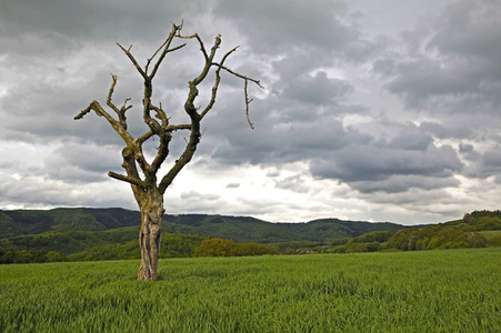 'Nature Art - Bodypainting in Landscapes' Kalender 2018