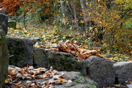 'Nature Art - Bodypainting in Landscapes' Kalender 2018