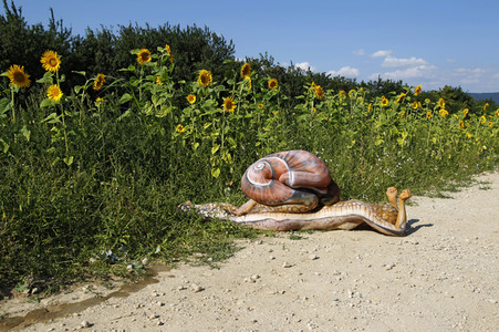'Nature Art - Bodypainting in Landscapes' Kalender 2018