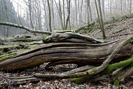 'Nature Art - Bodypainting in Landscapes' Kalender 2018