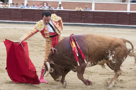Stierkampf in San Sebastián de los Reyes