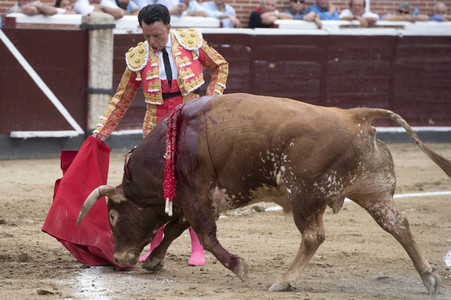 Stierkampf in San Sebastián de los Reyes