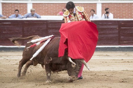 Stierkampf in San Sebastián de los Reyes