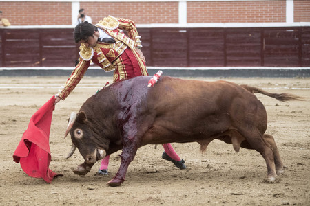 Stierkampf in San Sebastián de los Reyes