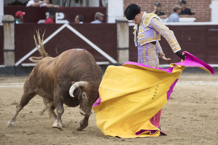 Stierkampf in San Sebastián de los Reyes