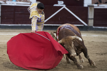 Stierkampf in San Sebastián de los Reyes