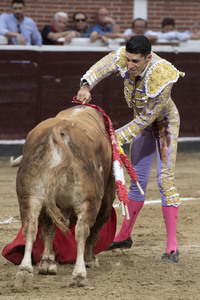 Stierkampf in San Sebastián de los Reyes