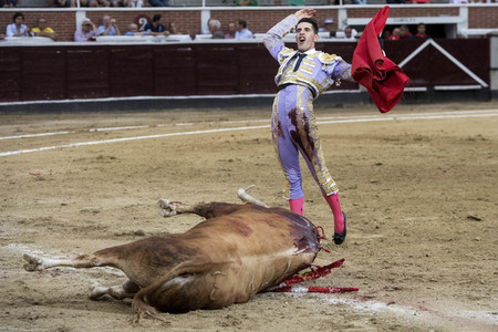 Stierkampf in San Sebastián de los Reyes