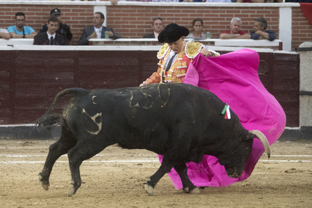 Stierkampf in San Sebastián de los Reyes