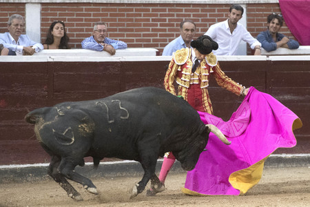 Stierkampf in San Sebastián de los Reyes