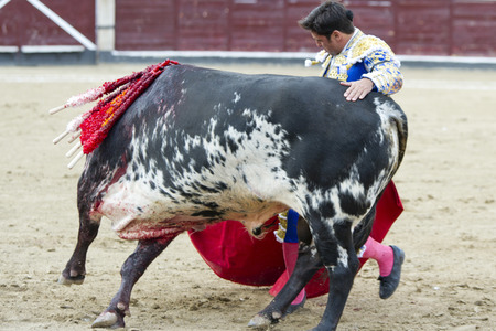Stierkampf in San Sebastián de los Reyes