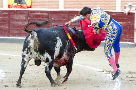 Stierkampf in San Sebastián de los Reyes