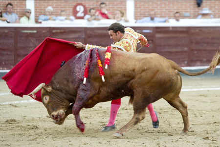 Stierkampf in San Sebastián de los Reyes