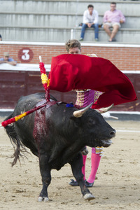 Stierkampf in San Sebastián de los Reyes