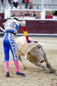 Stierkampf in San Sebastián de los Reyes