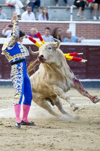 Stierkampf in San Sebastián de los Reyes