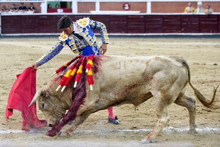 Stierkampf in San Sebastián de los Reyes
