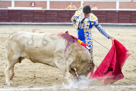 Stierkampf in San Sebastián de los Reyes