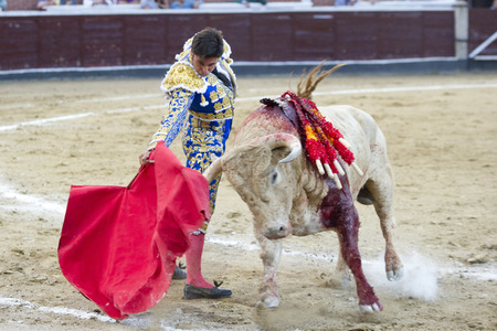 Stierkampf in San Sebastián de los Reyes