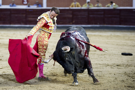 Stierkampf in San Sebastián de los Reyes