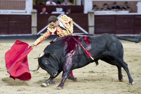 Stierkampf in San Sebastián de los Reyes