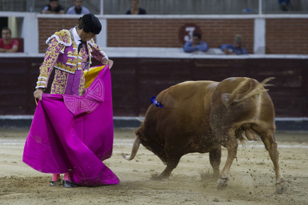 Stierkampf in San Sebastián de los Reyes