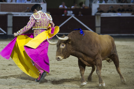 Stierkampf in San Sebastián de los Reyes