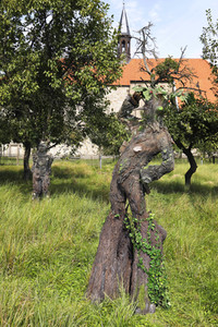 GEEK ART: Baumwesen / Tree-Beings Bodypainting