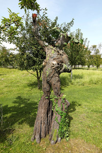GEEK ART: Baumwesen / Tree-Being Bodypainting