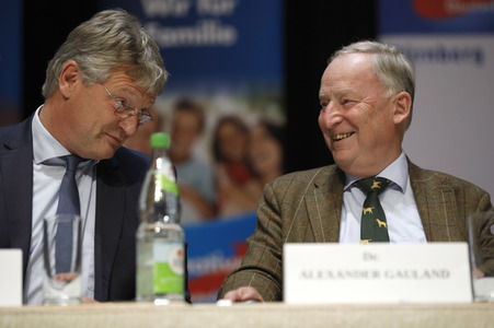 Wahlkampfveranstaltung der AfD in Nürnberg