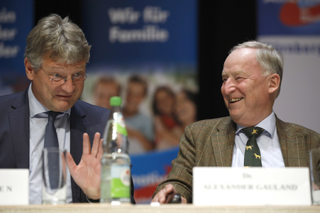 Wahlkampfveranstaltung der AfD in Nürnberg