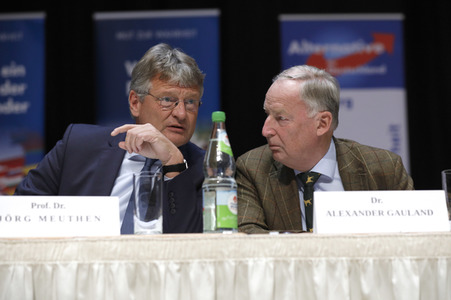 Wahlkampfveranstaltung der AfD in Nürnberg