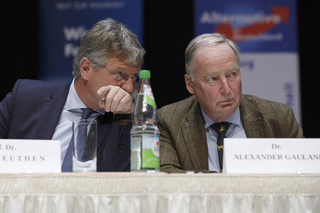 Wahlkampfveranstaltung der AfD in Nürnberg