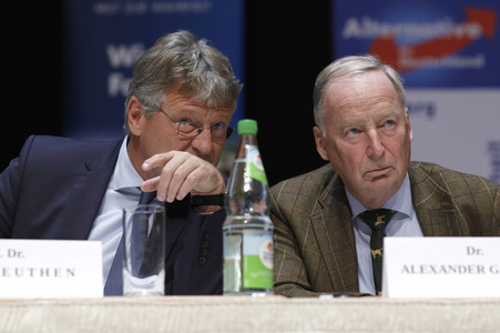 Wahlkampfveranstaltung der AfD in Nürnberg