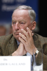 Wahlkampfveranstaltung der AfD in Nürnberg