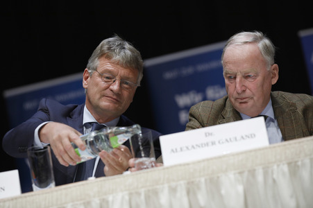 Wahlkampfveranstaltung der AfD in Nürnberg