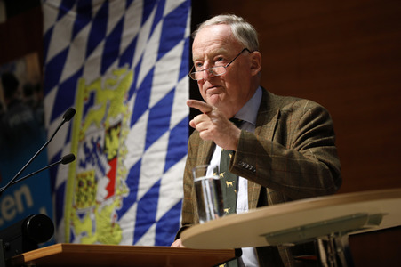 Wahlkampfveranstaltung der AfD in Nürnberg