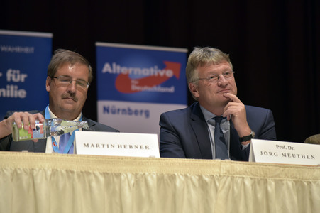 Wahlkampfveranstaltung der AfD in Nürnberg