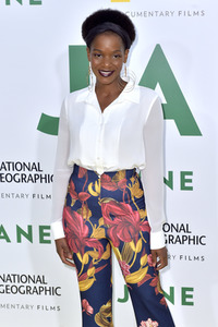 Filmpremiere 'Jane' in Los Angeles