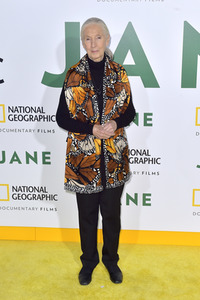 Filmpremiere 'Jane' in Los Angeles