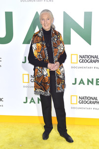 Filmpremiere 'Jane' in Los Angeles