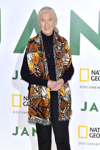 Filmpremiere 'Jane' in Los Angeles