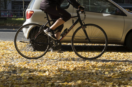 Symbolfoto Herbst